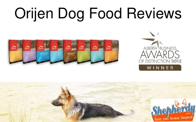 Abound Dry Dog Food Reviews Abound Dry Dog Food Reviews