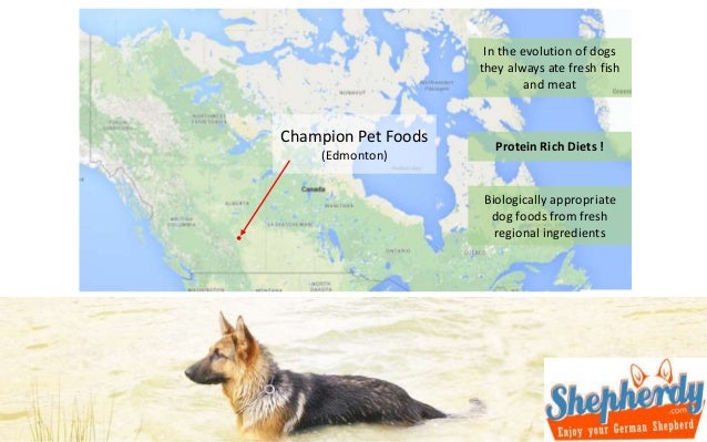 orijen dog food german shepherd