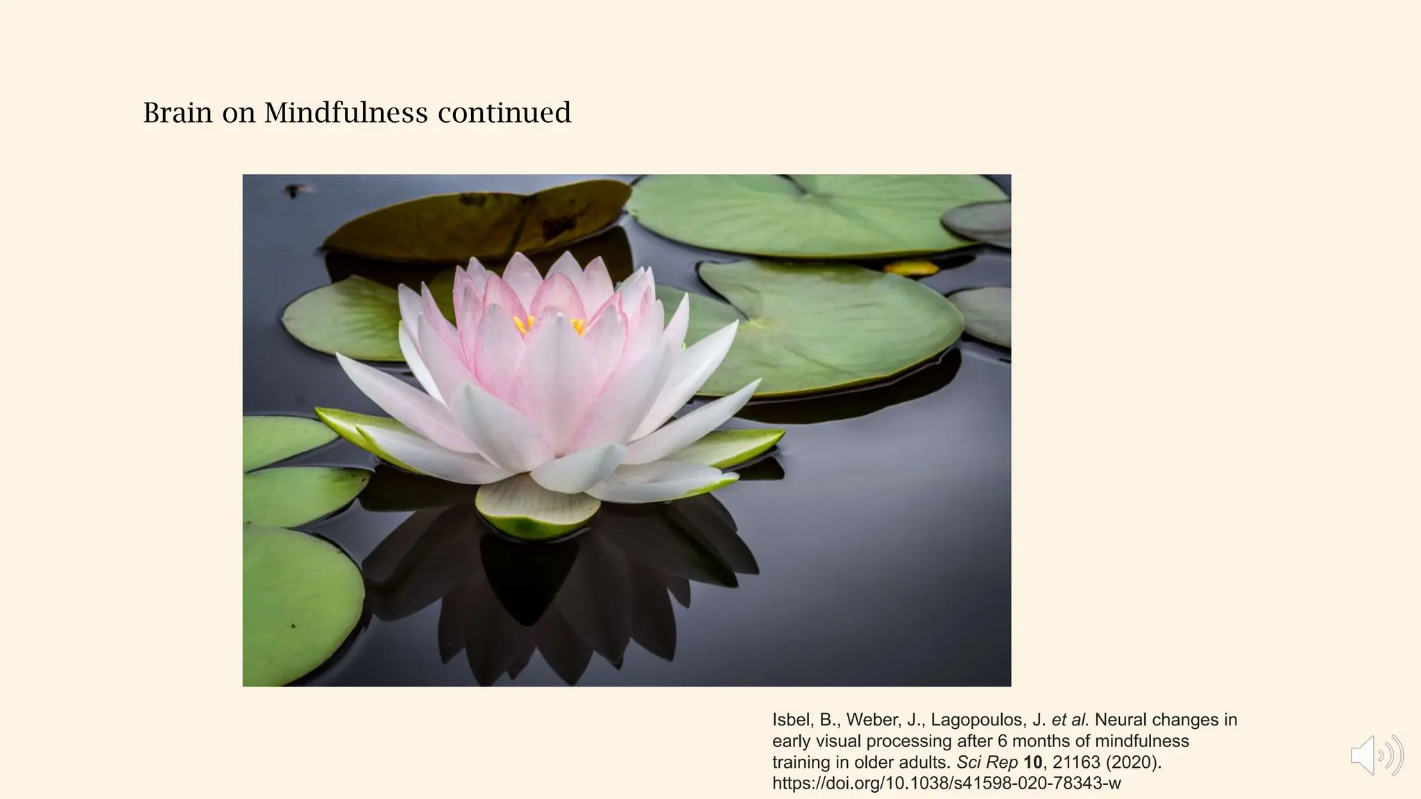 Brain on Mindfulness continued
Isbel, B., Weber, J., Lagopoulos, J. et al. Neural changes in
early visual processing after 6 months of mindfulness
training in older adults. Sci Rep 10, 21163 (2020).
https://doi.org/10.1038/s41598-020-78343-w
 