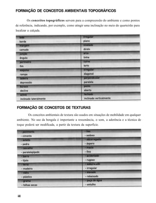 FORMAÇÃO DE CONCEITOS AMBIENTAIS TOPOGRÁFICOS

         Os conceitos topográficos servem para a compreensão do ambiente e como pontos
de referência, indicando, por exemplo, como atingir uma inclinação no meio do quarteirão para
localizar a calçada.




 FORMAÇÃO DE CONCEITOS DE TEXTURAS
          Os conceitos ambientais de textura são usados em situações de mobilidade em qualquer
ambiente. No uso da bengala é importante a ressonância, o som, a aderência e a técnica de
 toque poderá ser modificada, a partir da textura da superfície.
 