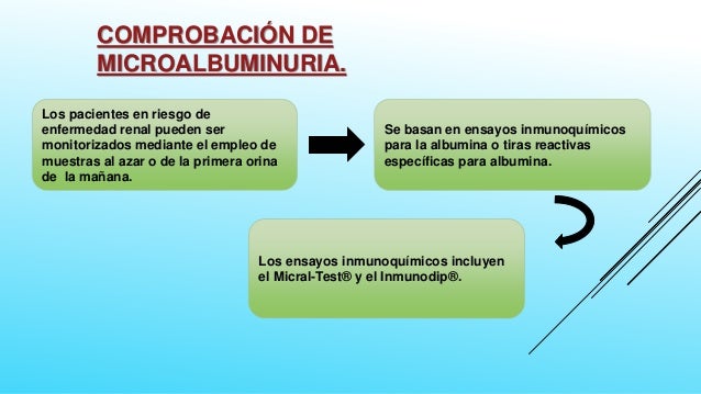 EXAMEN QUIMICO DE LA ORINA EXAMEN QUIMICO DE LA ORINA