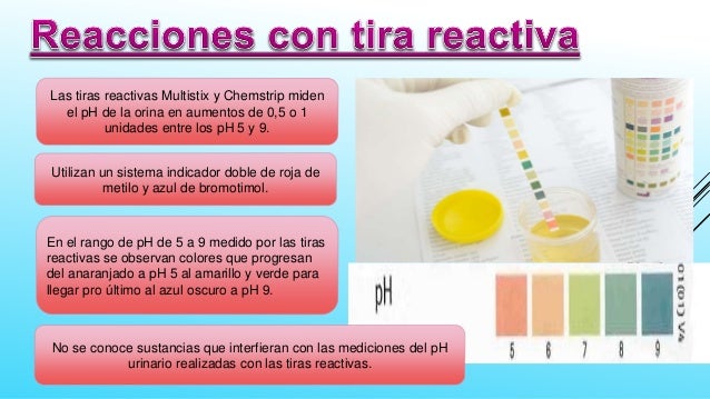 EXAMEN QUIMICO DE LA ORINA