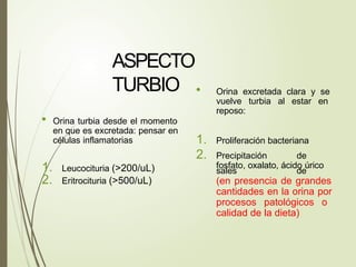 ASPECTO
TURBIO
• Orina turbia desde el momento
en que es excretada: pensar en
células inflamatorias
1. Leucocituria (>200/uL)
2. Eritrocituria (>500/uL)
• Orina excretada clara y se
vuelve turbia al estar en
reposo:
1. Proliferación bacteriana
2. Precipitación de
sales de
fosfato, oxalato, ácido úrico
(en presencia de grandes
cantidades en la orina por
procesos patológicos o
calidad de la dieta)
 