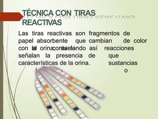 TÉCNICA CON TIRAS
REACTIVAS
Las tiras reactivas son fragmentos de
papel absorbente que cambian de color
al contacto reacciones
que
sustancias
o
con la orina; revelando así
señalan la presencia de
características de la orina.
 