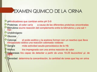 EXAMEN QUIMICO DE LA ORINA
pHindicadores que cambian entre pH 5-9
Proteínas el color varía a causa de las diferentes proteínas encontradas
Bilirrubina ocurre reacción del complemento entre la bilirrubina y una sal =
rojo
Urobilinógeno
Glucosa
Cetonas el acido acético y la acetona forman con un reactivo que lleva
nitroprusiato sódico una reacción coloreada violácea
Sangre mide actividad seudo-peroxidasica de la Hb
Nitritos tira impregnada con una amina reacción de color
rosa
Estearasas tira capaz de detectar a partir de unos 10-25 leucocitos/ μl. de
orina
Densidad determina la concentración, la cantidad de iones que hay en orina
 