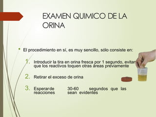 EXAMEN QUIMICO DE LA
ORINA
• El procedimiento en sí, es muy sencillo, sólo consiste en:
1. Introducir la tira en orina fresca por 1 segundo, evitando
que los reactivos toquen otras áreas previamente
2. Retirar el exceso de orina
3. Esperarde 30-60 segundos que las
reacciones sean evidentes
 