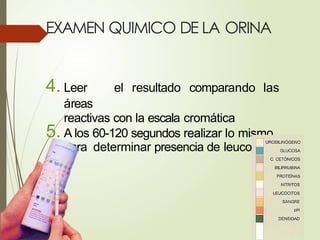EXAMEN QUIMICO DE LA ORINA
4. Leer el resultado comparando las
áreas
reactivas con la escala cromática
5. A los 60-120 segundos realizar lo mismo
para determinar presencia de leucocitos
 