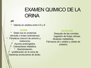 EXAMEN QUIMICO DE LA
ORINA
pH
• Valores en adultos entre 4.5 y 8
ACIDA
• Dieta rica en proteínas
cárnicas o frutas (arándanos).
• Fármacos (cloruro de amonio y
metionina).
• Ayunos prolongados.
• Cetoacidosis diabética.
• Deshidratación.
• proliferación en la orina de
bacterias productoras de ácido.
ALCALINA
Después de las comidas .
Ingestión de frutas cítricas.
Alcalosis metabólica.
Fármacos (bi c sódico y citrato de
potasio)
 