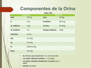 Componentes de la Orina
AGUA 96%
2.
COM
PUESTOS ORGÁNICOS
:
• Se eliminan aproximadamente 1,4 L de orina al día.
• VOLUMEN URINARIO NORMAL = 1 a 2 ml/k/h
• VOLUMEN URINARIO DISMINUIDO OLIGURIA: 0,5 a 1
ml/k/h
• ANURIA: 0,5 ml/k/h
Inorganicos Orgánicos
NaCl 10-15g Urea 20-30g
K 2-4g Creatinina 0,8-1,2g
Ac. Sulfúrico 2-3g Ac Urico 0,6-0,8g
Ac. Fosfórico 2-3 Cuerpos cetónicos 0,04g
Amoniaco 0,5-1g
Mg 0,1-0,2g
Ca 0,3-0,4g
Fe 0,005-0,010g
Otras 0,2-0,3g
 