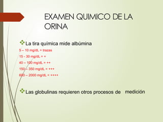 EXAMEN QUIMICO DE LA
ORINA
La tira química mide albúmina
5 – 10 mg/dL = trazas
15 - 30 mg/dL = +
40 – 100 mg/dL = ++
150 – 350 mg/dL = +++
600 – 2000 mg/dL = ++++
Las globulinas requieren otros procesos de medición
 
