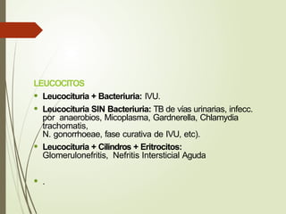 LEUCOCITOS
• Leucocituria + Bacteriuria: IVU.
• Leucocituria SIN Bacteriuria: TB de vías urinarias, infecc.
por anaerobios, Micoplasma, Gardnerella, Chlamydia
trachomatis,
N. gonorrhoeae, fase curativa de IVU, etc).
• Leucocituria + Cilindros + Eritrocitos:
Glomerulonefritis, Nefritis Intersticial Aguda
• .
 