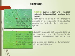 ANCHO: suelen indicar una marcada
funcional de la
reducción de la capacidad
nefrona.
CILINDROS
Se Cree que su formación se debe a un marcado
descenso del flujo urinario en la región de 10s conductos
afectados. Aparecen en "estadio final“ de una
enfermedad renal grave.
ESTRECHO: La reducción marcada del tamaño de la luz
tubular da lugar en muchos casos a la formación de
cilindros con un diámetro claramente inferior al de 10s
cilindros "usuales".
Este estrechamiento puede ser debido a tumefacción
del epitelio o a cicatrices peritubulares .
 
