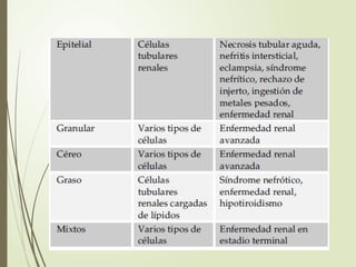 Examen general de orina y sus componentes