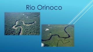 Rio Orinoco
 