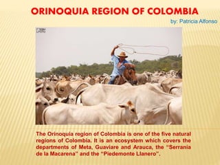 ORINOQUIA REGION OF COLOMBIA
The Orinoquia region of Colombia is one of the five natural
regions of Colombia. It is an ecosystem which covers the
departments of Meta, Guaviare and Arauca, the “Serranía
de la Macarena” and the “Piedemonte Llanero”.
by: Patricia Alfonso
 