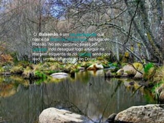 O  Balsemão  é um  rio português  que nasce na  Serra de Montemuro  no lugar do Rossão. No seu percurso passa por  Lamego  indo desaguar logo a seguir na margem esquerda do rio  Varosa  sendo por isso  um sub afluente do rio Douro.  O  Balsemão  é um  rio português  que nasce na  Serra de Montemuro  no lugar do Rossão. No seu percurso passa por  Lamego  indo desaguar logo a seguir na margem esquerda do rio  Varosa  sendo por isso  um sub afluente do rio Douro .  