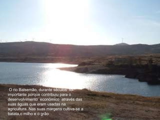 O rio Balsemão, durante séculos  foi importante porque contribuiu para o desenvolvimento  económico  através das suas águas que eram usadas na agricultura.   Nas suas margens cultiva-se a batata,o milho e o grão . O rio Balsemão, durante séculos  foi importante porque contribuiu para o desenvolvimento  económico  através das suas águas que eram usadas na agricultura. Nas suas margens cultiva-se a batata,o milho e o grão  . 
