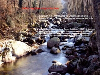 Informações importantes Estação de Tratamento de Águas Residuais Lamego: ETAR vai acabar com descargas poluentes para o rio Balsemão     A Estação de Tratamento de Águas Residuais (ETAR) de Lamego estará brevemente a funcionar no máximo da sua capacidade, permitindo acabar com a descarga de esgotos domésticos poluentes para o rio Balsemão, anunciou hoje a autarquia.  a 
