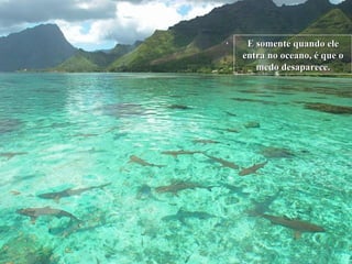 E somente quando ele entra no oceano, é que o medo desaparece. 