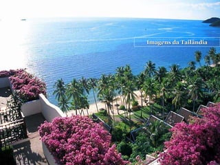 Imagens da Tailândia 