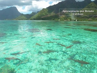 Apresentação por Renato Cardoso Apresentação por Renato Cardoso 