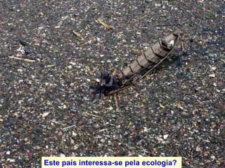Este país interessa-se pela ecologia?
 