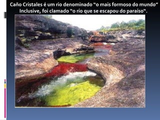 Caño Cristales é um rio denominado “o mais formoso do mundo”
   Inclusive, foi clamado “o río que se escapou do paraíso“.
 