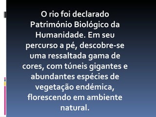 O rio foi declarado
  Património Biológico da
    Humanidade. Em seu
 percurso a pé, descobre-se
  uma ressaltada gama de
cores, com túneis gigantes e
  abundantes espécies de
    vegetação endémica,
 florescendo em ambiente
           natural.
 