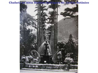 Chafariz na Aléia Barbosa Rodrigues do Jardim Botânico
 