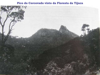 Pico do Corcovado visto da Floresta da Tijuca
 