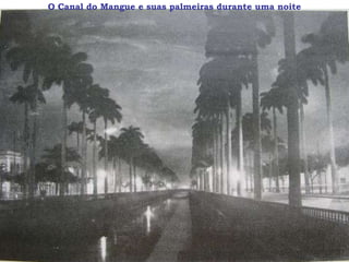 O Canal do Mangue e suas palmeiras durante uma noite
 