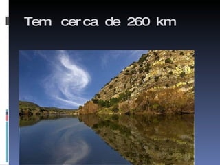 Tem  cerca de 260 km 