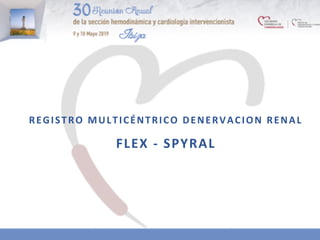 REGISTRO	MULTICÉNTRICO	DENERVACION	RENAL	
FLEX	-	SPYRAL	
 