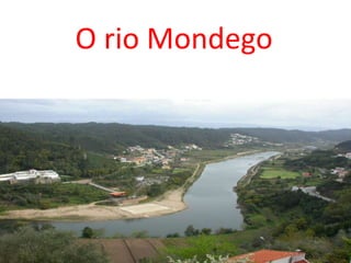 O rio Mondego
 