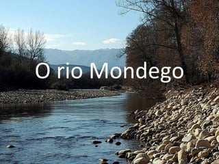 O rio Mondego 