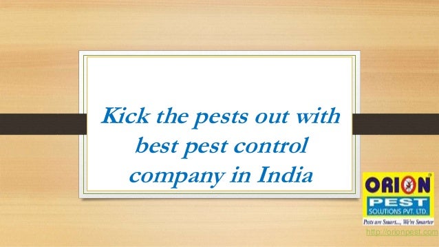 Best Pest Management Company In India