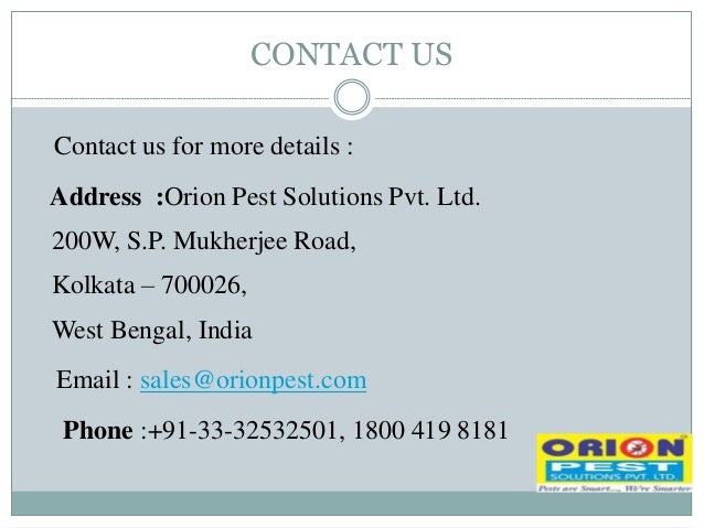 Kick Out All The Pests By Our Standardized And Effective Pest Control