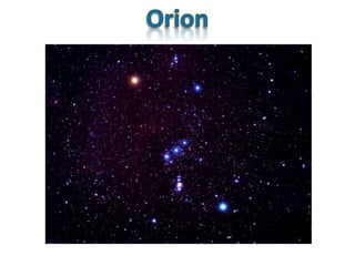 Orion 