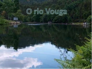 O rio Vouga 