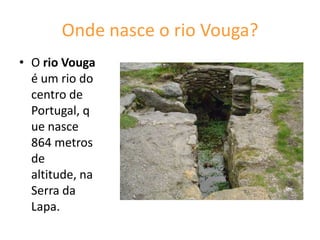 O rio Vouga tem como os principais afluentes: os rios Mau, Sul. A sua bacia hidrográfica afluente direita da ria de Aveiro, cobre uma extensão de 3635km. É representado pela barragem de Ribafeira.  Os turistas do rio VougaO rio Vouga é um dos rios que atrai muitos turistas.