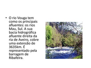 O rio Vouga