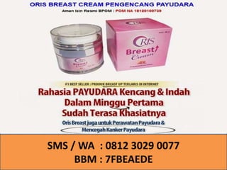 CARA MEMPERBESAR PAYUDARA | PPT