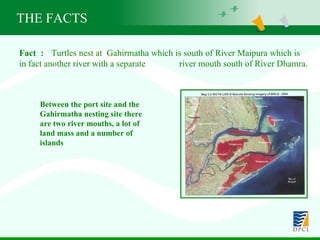 Fact  : Turtles nest at  Gahirmatha which is south of River Maipura which is  in fact another river with a separate  river mouth south of River Dhamra. THE FACTS Between the port site and the Gahirmatha nesting site there are two river mouths, a lot of land mass and a number of islands 
