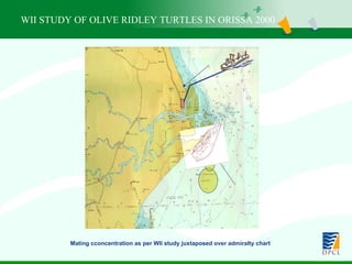 WII STUDY OF OLIVE RIDLEY TURTLES IN ORISSA 2000 Mating cconcentration as per WII study juxtaposed over admiralty chart 