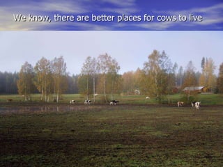 We know, there are better places for cows to live 