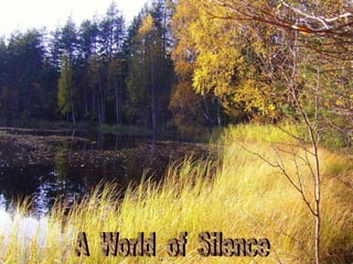 A  World  of  Silence 