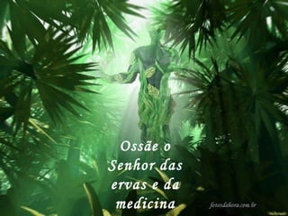 Ossãe o Senhor das ervas e da medicina natural! 