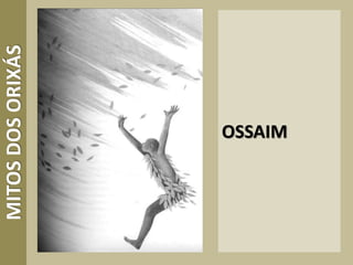 OSSAIM
MITOSDOSORIXÁS
 