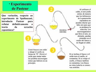 Experimento de Pasteur Que variación, respecto ao experimento de Spallanzani, introduciu Pasteur para refutar definitivamente a teoría da xeración espontánea? 