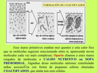 Eses mares primitivos estaban moi quentes e esta calor fixo que as moléculas seguisen reaccionando entre si, aparecendo novas moléculas cada vez máis complexas;  Oparin  chamou a estes mares cargados de moléculas o  CALDO NUTRITIVO ou SOPA PRIMORDIAL . Algunhas desas moléculas uníronse constituíndo unhas asociacións con forma de pequenas esferas chamadas  COACERVADOS , que aínda non eran células.  FORMACIÓN DE COACERVADOS 